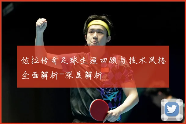 佐拉传奇足球生涯回顾与技术风格全面解析-深度解析